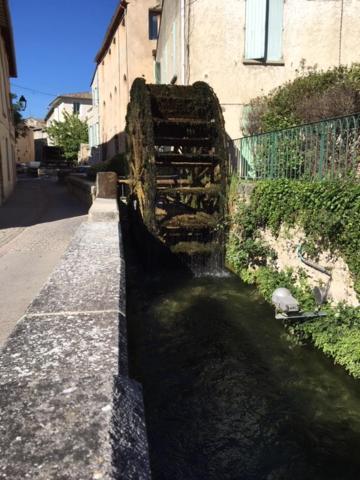 Maison De Charme Isle Sur La Sorgue LʼIsle-sur-la-Sorgue Exterior foto